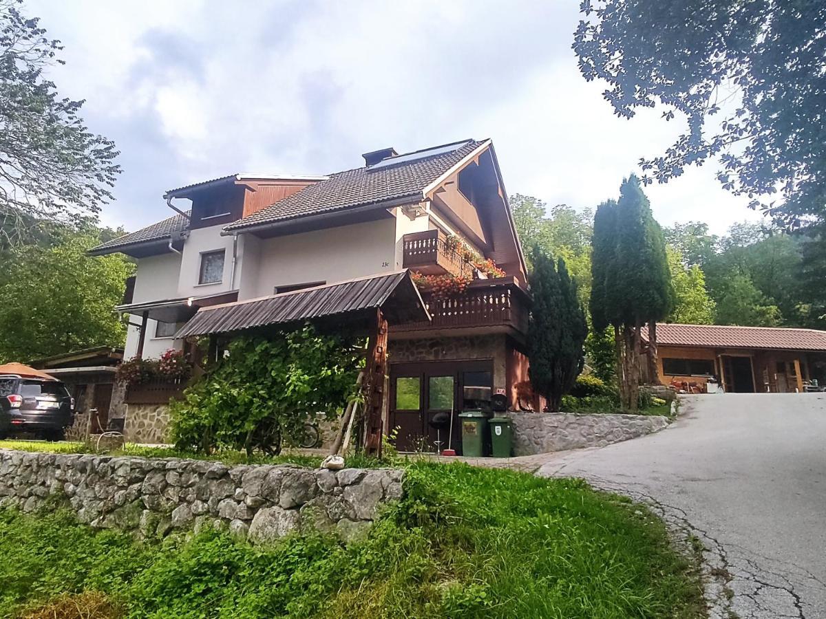 Fantastic Apartment Brglez Bohinjska Bela Bagian luar foto