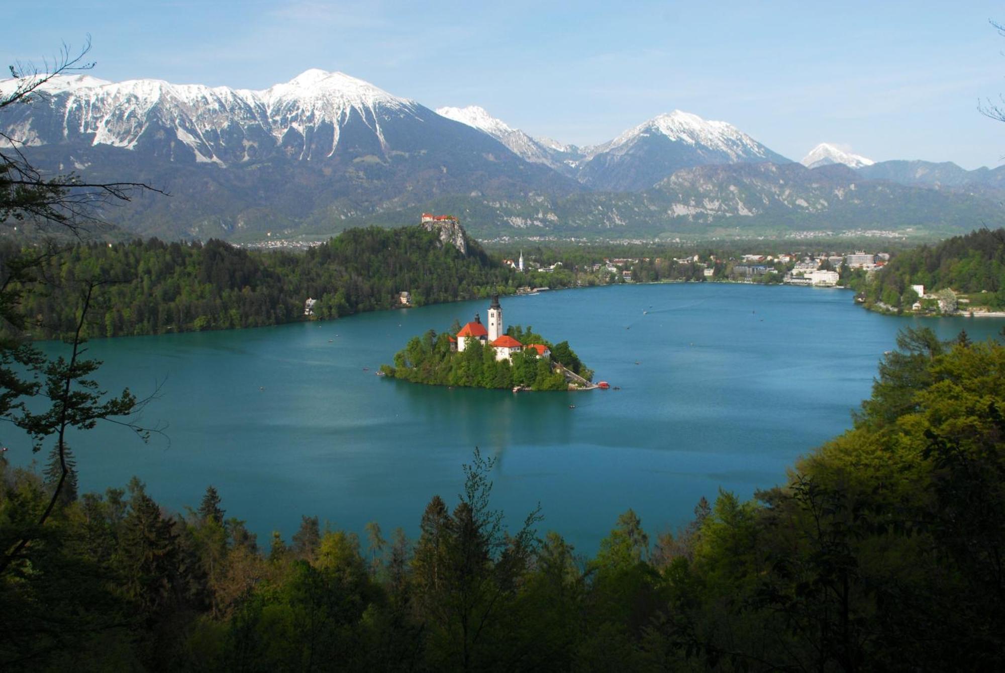 Fantastic Apartment Brglez Bohinjska Bela Bagian luar foto